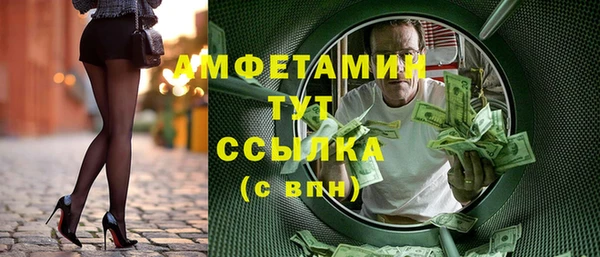 прущие грибы Волоколамск