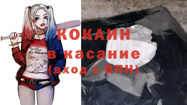 прущие грибы Волоколамск