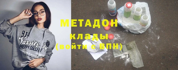 прущие грибы Волоколамск
