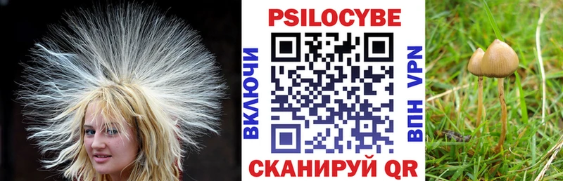 Галлюциногенные грибы Cubensis  Глазов 