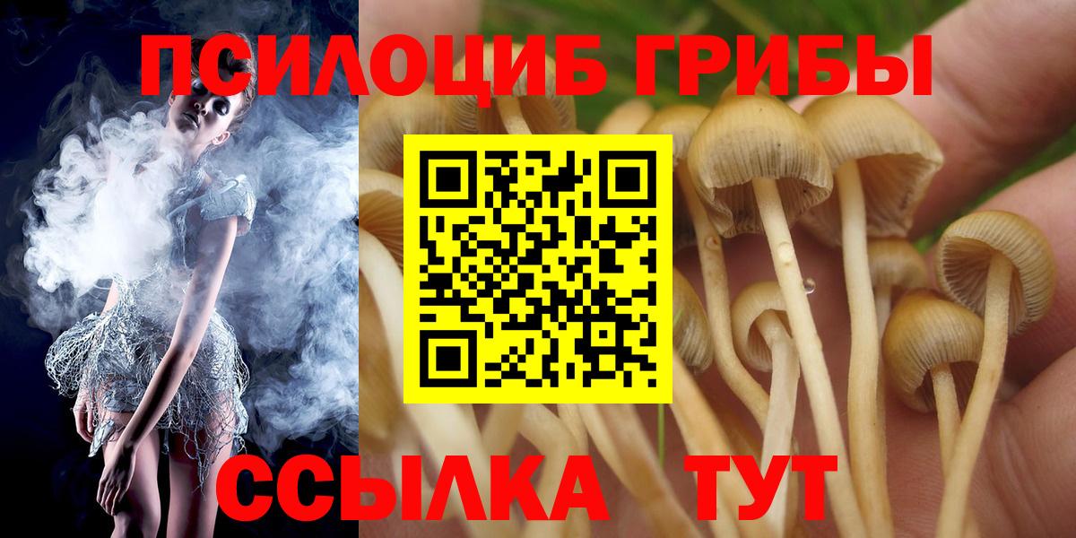 Глазов  продажа наркотиков  Вход с VPN  Галлюциногенные грибы Psilocybine cubensis 